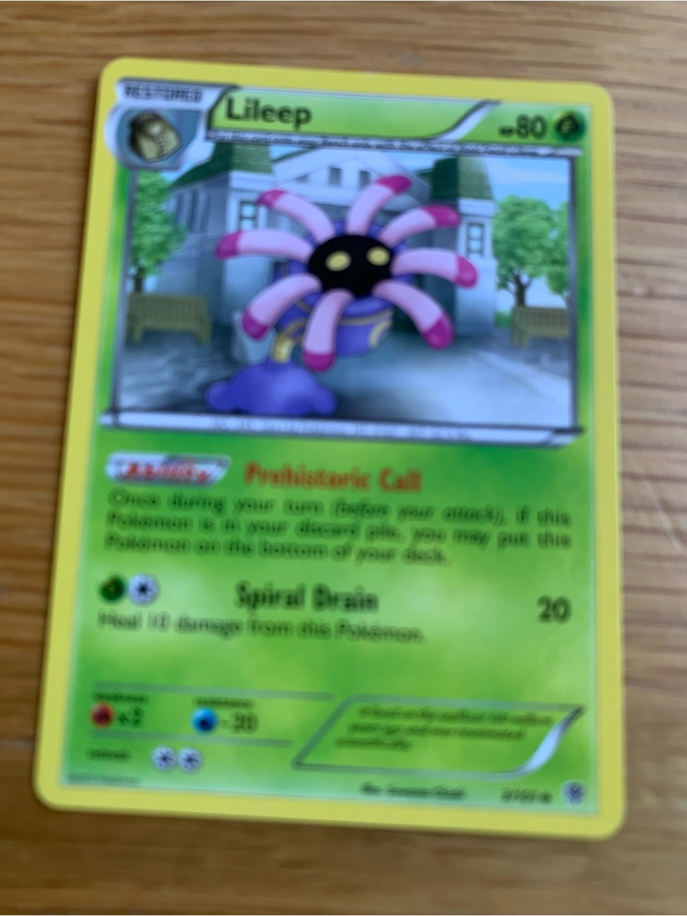 Pokemon Lileep Card - Green and Yellow Artwork